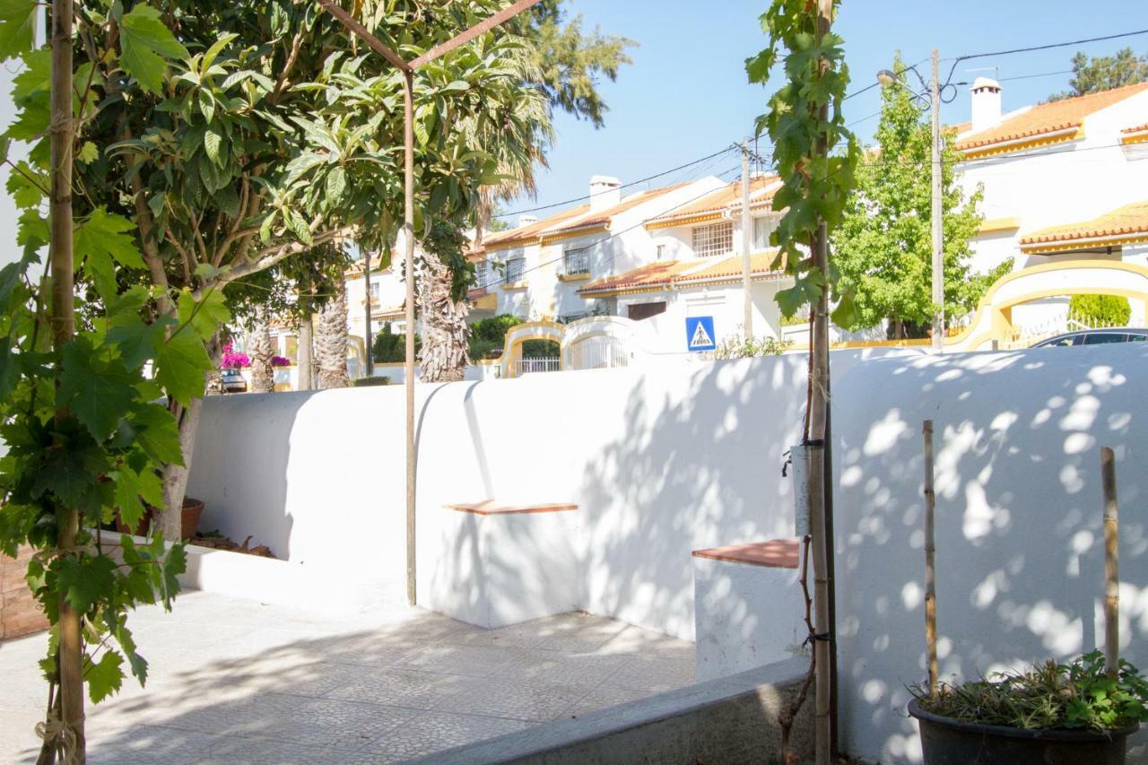 Apartmán Casa Dos Avos Azeitão Exteriér fotografie